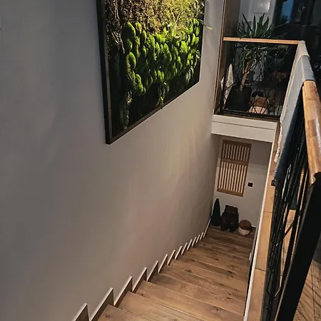 Vrh House *